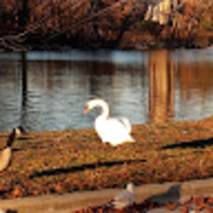 Meet your Posher, Quita